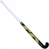 EVOLUTION 0.2 PRO 2018 Hockey Stick - Arcade Sports